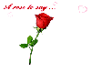 A Rose My Love
