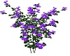 purple shades flwer tree