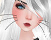 !T! Face | Cat Whiskers