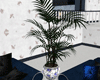 Plant in Blue Rose Vase