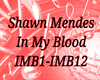 Shawn Mendes In My BloOD