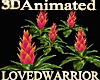 5 Animated Bromeliads 7
