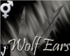 [J-O]Gray Wolf Ears