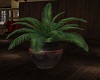 Cabin Potted Plant