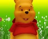 Pooh Bear Costume