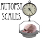 Autopsy Scales