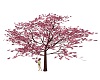 Blossom Radio Tree