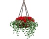 .Hanging Flowers Pot