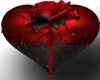 Bleeding Heart Rose