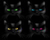 !Mx!Rug 4 cat black