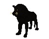 Black lion.