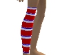 ANI Patriotic One Sock