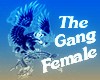 [wayu]The Gang Female