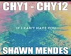 ShawnMendes-CantHaveYou