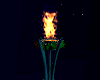 Torch Animated