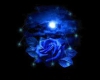 Blue Rose V2