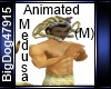 [BD] Animated Medusa(M)