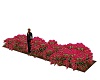 Pink Roses Flower Bed 2