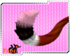 Koko Kitty Tail