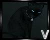(V) Black Cat