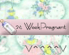 24 Weeks Pregnant (P)