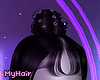 maeve + bangs black