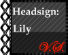 ~V~ Headsign Lily