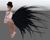 Raven bk Feathers