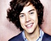 Harry Styles Poster1