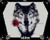 Wolf With The Red Roses