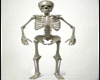 Skeleton Decotative