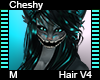 Cheshy Hair M V4