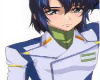 Gundam SDestiny Uniform