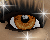 (MI) Belle eye