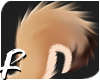 🎃 SPICE - Tail 6