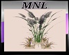 MNLTropical Wild Plants