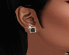 Silver-Black Earrings