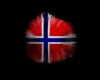 [Æ] Norwiegan Flag