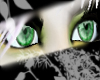 Moonlight Eyes:: Emerald