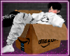 Amazon Box Avi F
