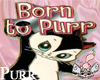 <3*P Born to purr