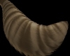Callie tail 1