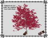 (1F1) Red Love Tree