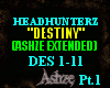 {Ash}Destiny pt1/2