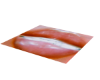 minkz lipz