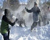 Snowball Fight