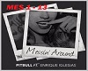 Messin' Around * Pitbull