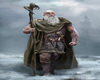 Fantasy Art Druid 1g