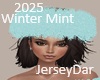 2025 Winter Mint Fur Hat