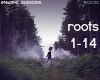 Imagine Dragons: Roots